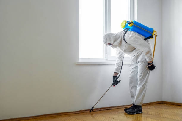 Best Local Pest Control Services  in Deer Lodge, MT