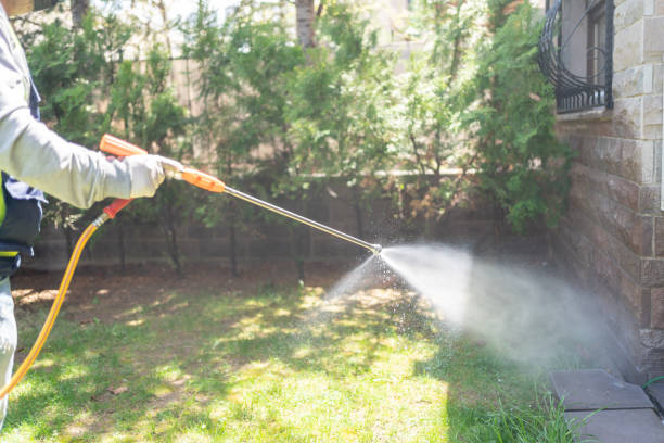 Best Rodent Control Near Me  in Deer Lodge, MT