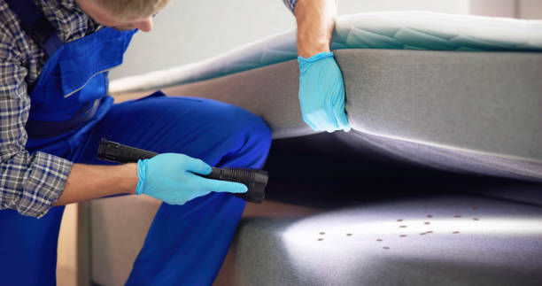Best Pest Control for Businesses  in Deer Lodge, MT