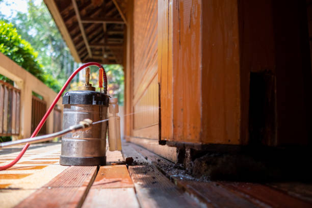 Best Best Pest Control Companies  in Deer Lodge, MT