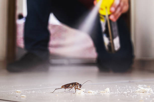 Best Pest Control Near Me  in Deer Lodge, MT